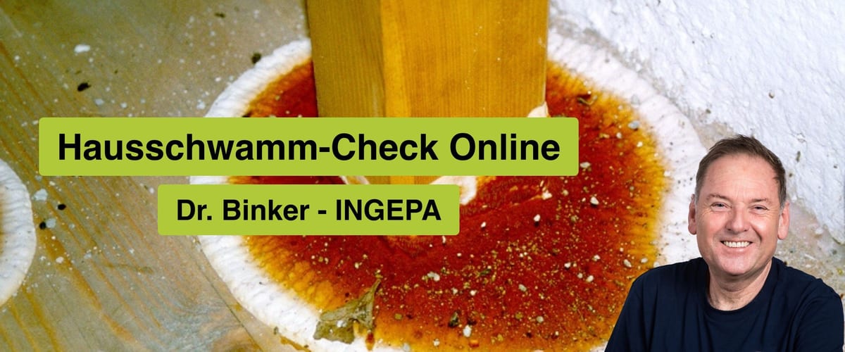 Hausschwamm-Check Online, Dr. Binker, INGEPA