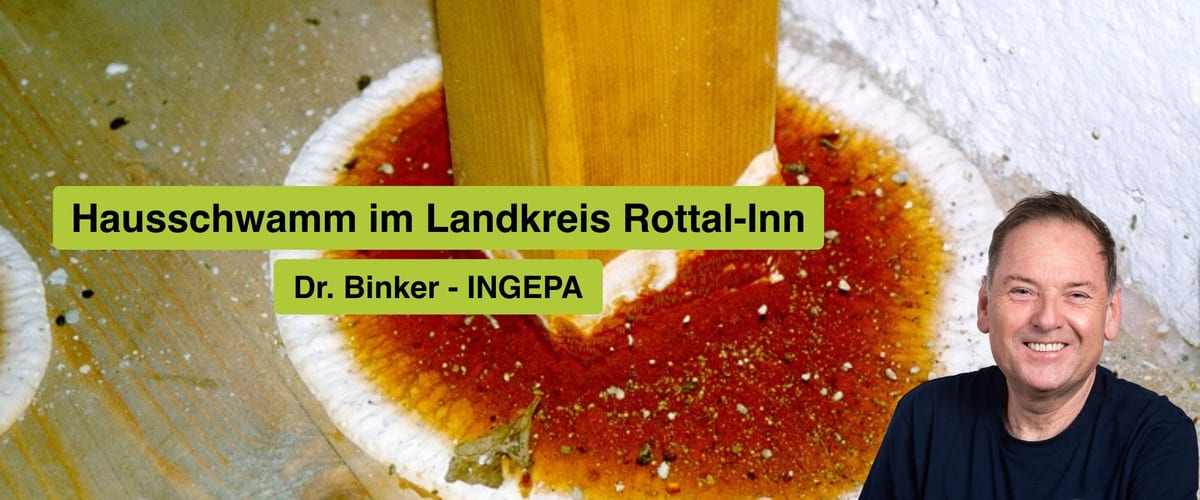 Hausschwamm im Landkreis Rottal-Inn: INGEPA – Ihr Experte für nachhaltige Sanierung