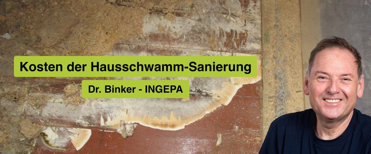 Was kostet eine Hausschwamm-Sanierung?