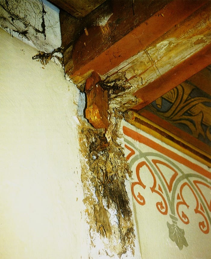 Befall des Echten Hausschwamms an der hölzernen Kassettendecke einer Kirche im Großraum München