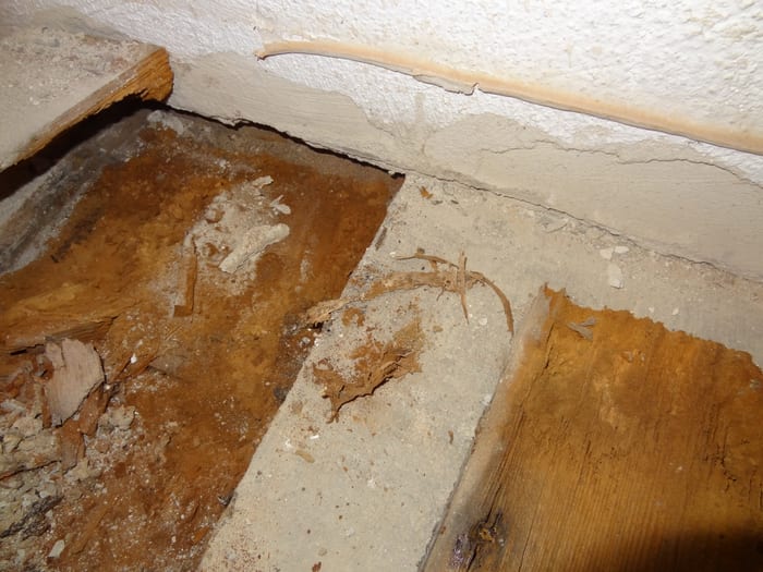 Detailaufnahme der durch den Echten Hausschwamm zersetzten Bodenbalken nach einer Badezimmer-Leckage im Raum Erlangen