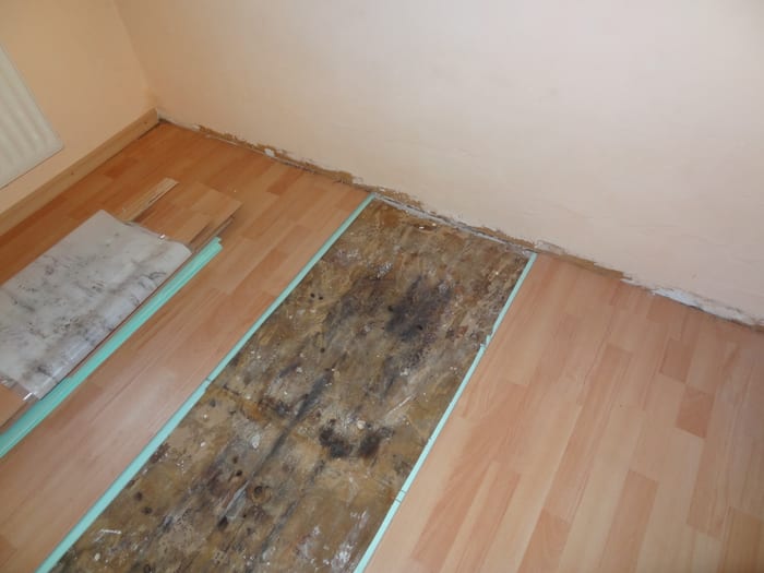 Unter dem Fußboden freigelegter, von Feuchtigkeit und Befall geschädigter Dielenboden im Raum Fürstenfeldbruck