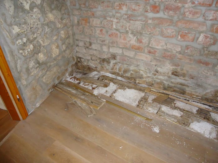 Weißes Myzel des Echten Hausschwamms, das am Übergang von Fußboden und Wandsockel durchbricht, Raum Ingolstadt