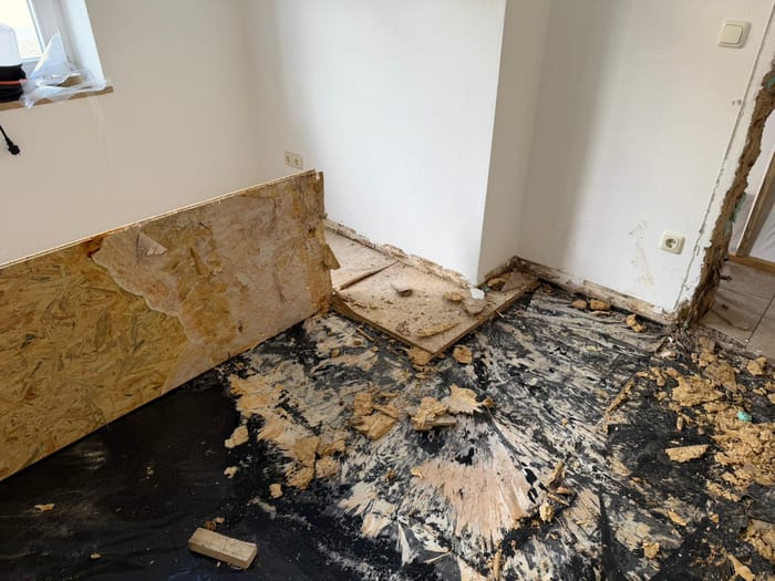 Ausgebreitetes weißes Myzel des Echten Hausschwamms im zerstörten Fußbodenaufbau, Raum Regensburg