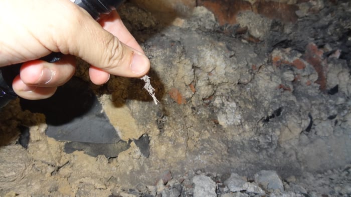 Durch einen Wasserschaden über das Dach geschädigter Treppenbereich mit aufgerissenem Boden und befallenem Mauerwerk, Raum Roth