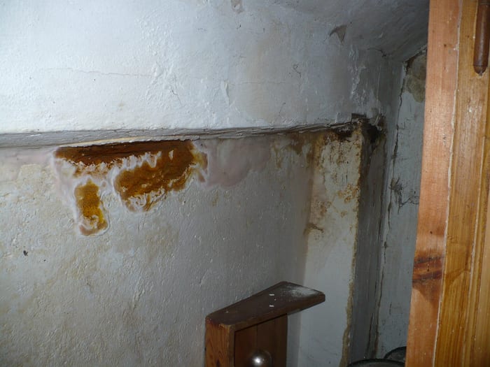Echter Hausschwamm in der Sakristei einer Kirche im Landkreis Rottal-Inn
