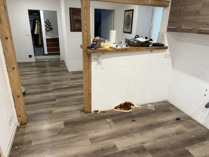 Massiver Echter-Hausschwamm-Befall infolge eines unfachmännischen Bodenaufbaus, Raum Wunsiedel